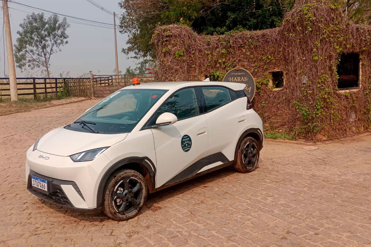 Segurança sustentável