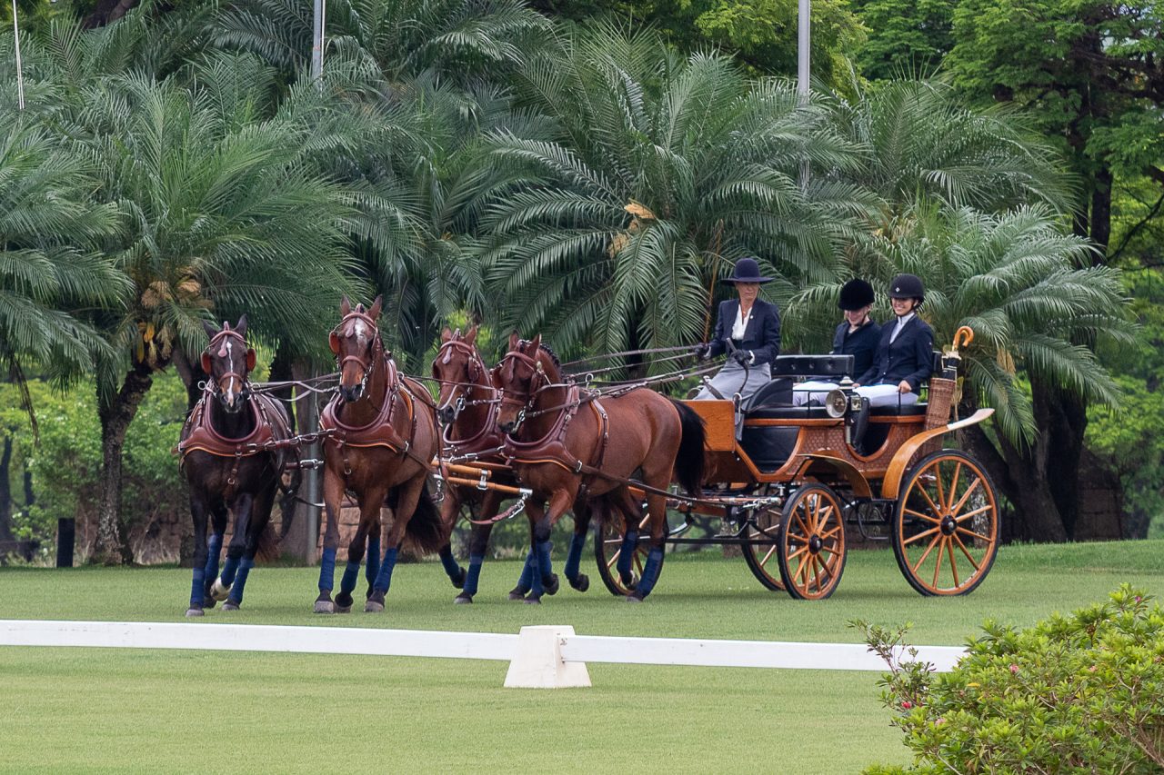 Você sabe o que é a modalidade de atrelagem?