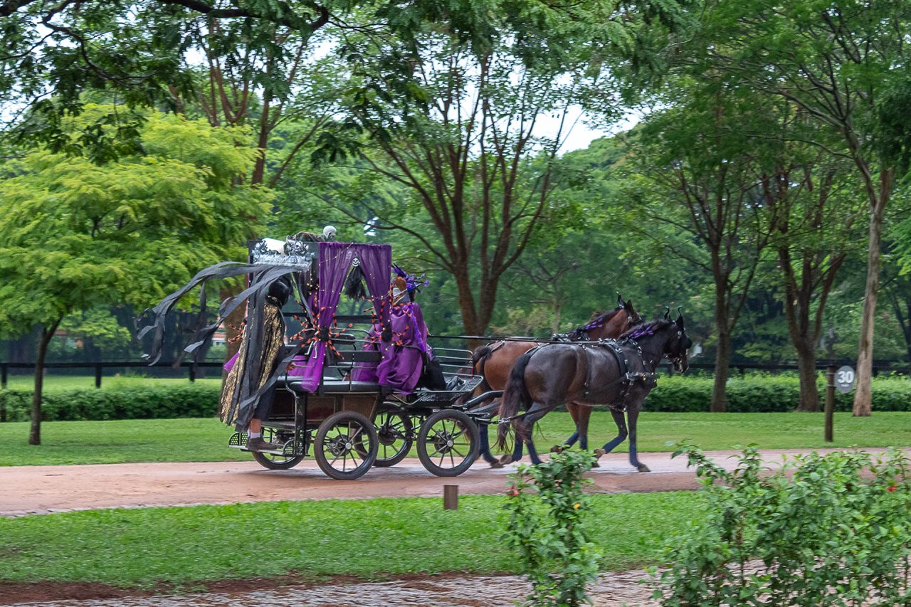 Halloween de arrepiar