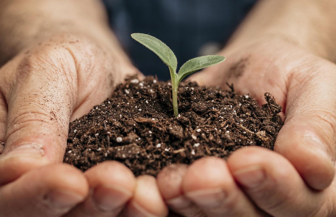 Compromisso com a sustentabilidade