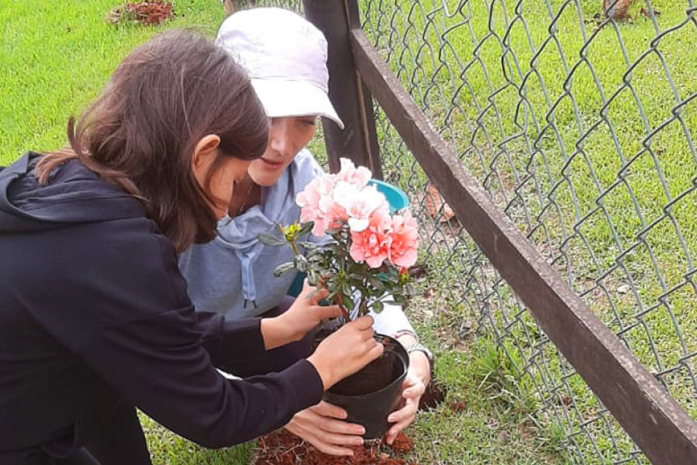 Afeto em Cada Detalhe