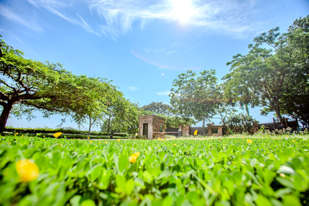 As grandes entregas do Biênio 2023-2025